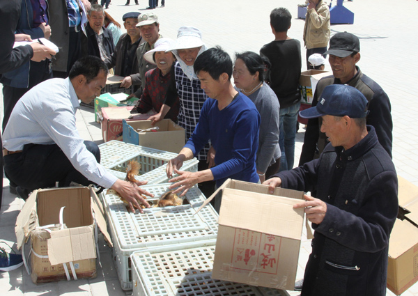 庆阳市博物馆开展精准扶贫捐赠爱心种鸡苗活动