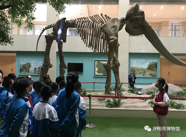 “5·18 国际博物馆日”庆阳博物馆里精彩纷呈